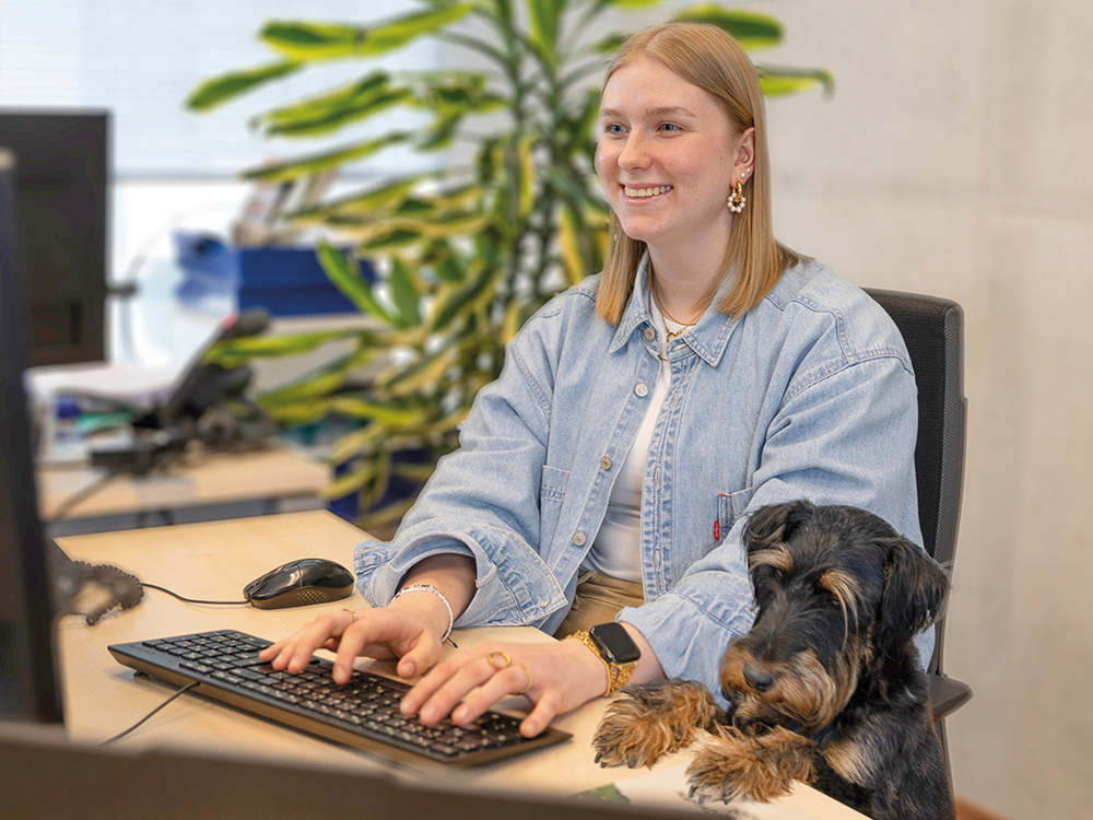 bosch_tiernahrung_beitrag1