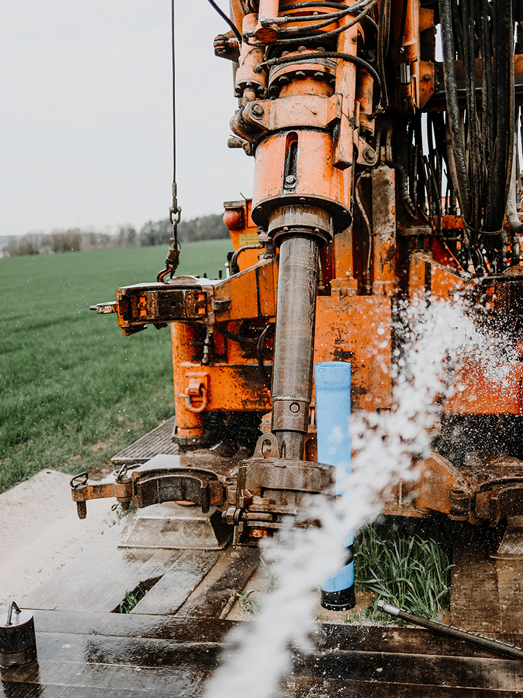 keller_hahn_beitrag1